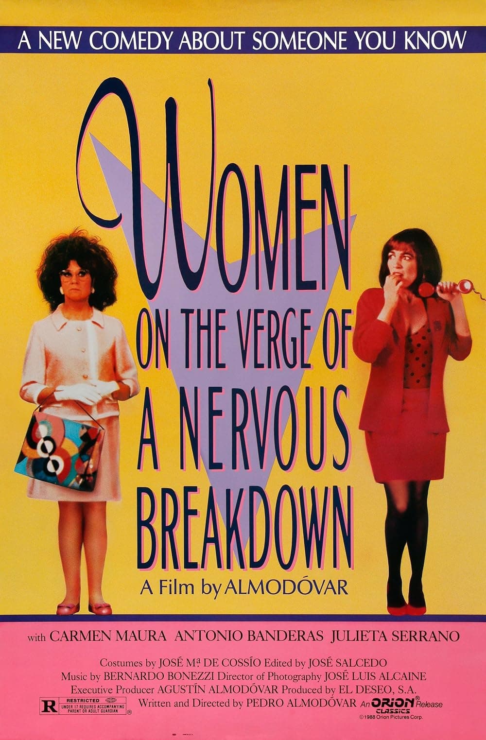 Women on the verge of nervous breakdown